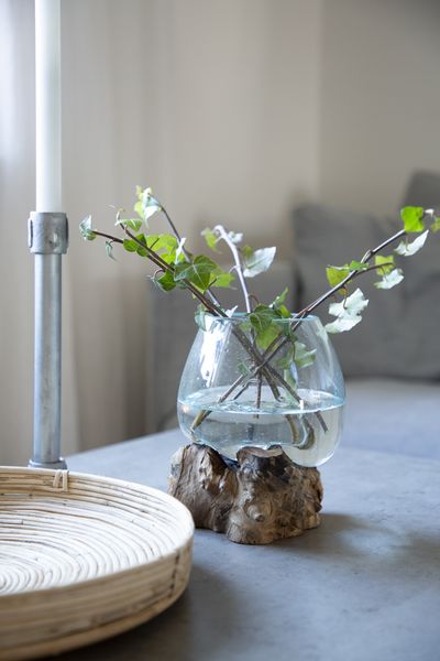 Hovedbilde Glasskål på trerot, 10 cm