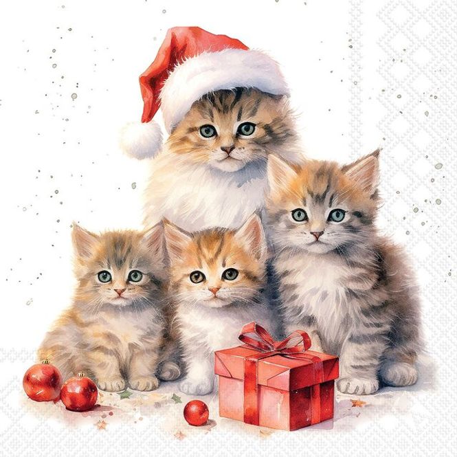 Hovedbilde Servietter Kaffe Meaowy Christmas