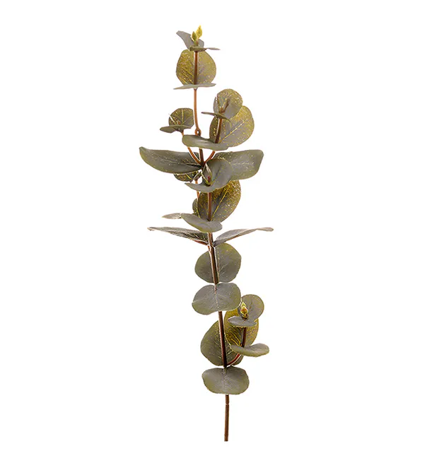 Hovedbilde Eucalyptus 40 cm