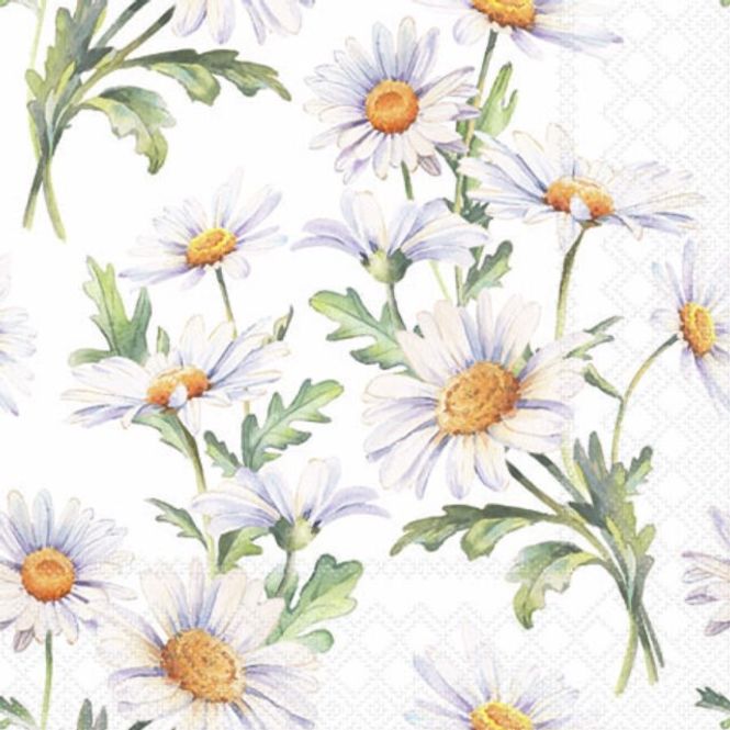 Hovedbilde Servietter Kaffe Beautiful daisies white