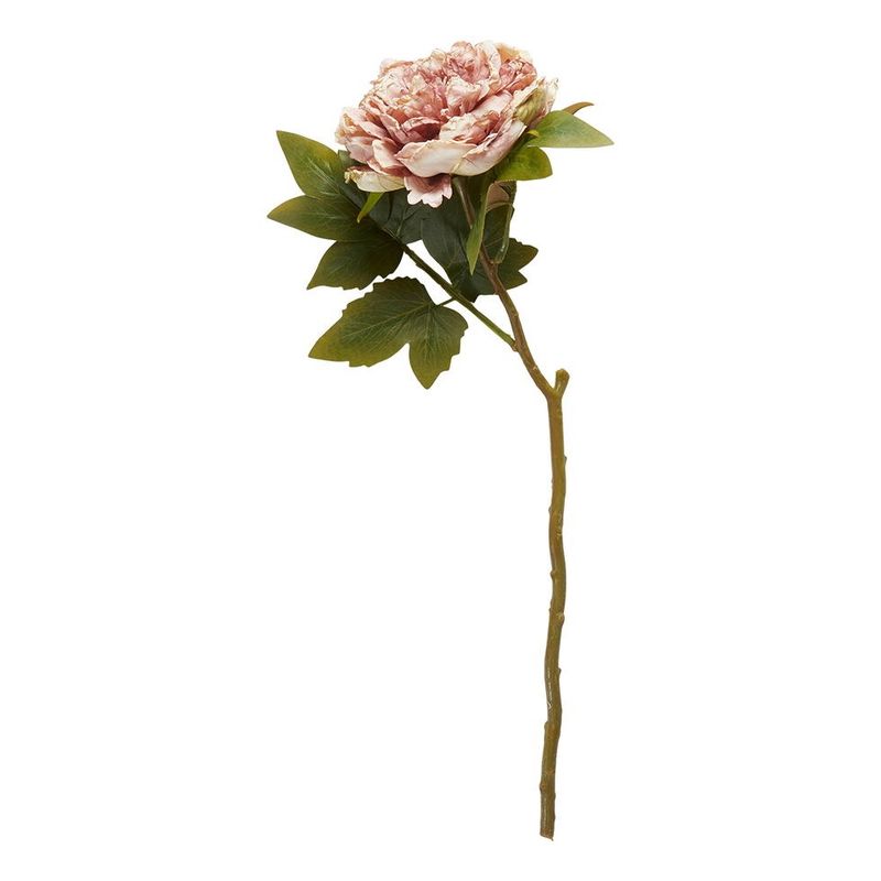 Pion stilk 46 cm 