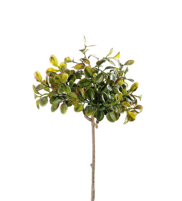 Tyttebær kvist 20 cm 
