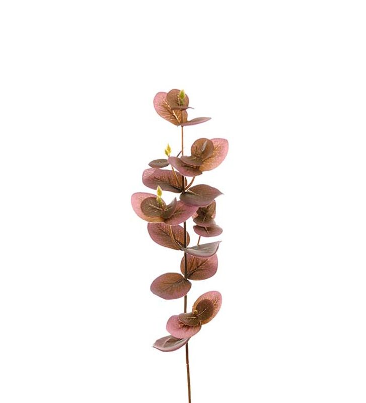 Eucalyptus grønn/lilla 40 cm 