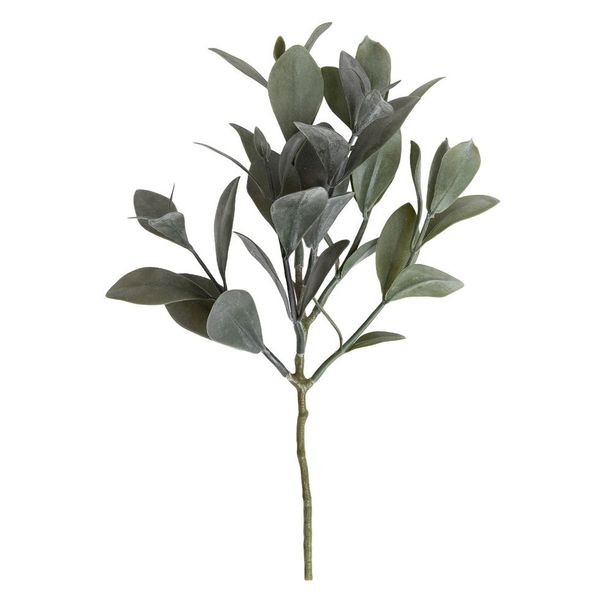 Hovedbilde Eukalyptus stilk 30 cm